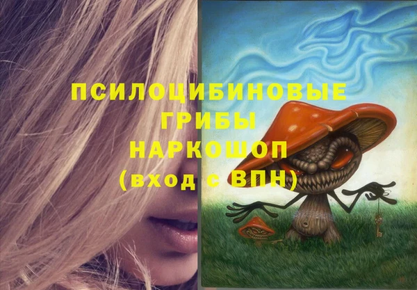 не бодяженный Алексин
