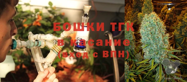 спайс Алзамай