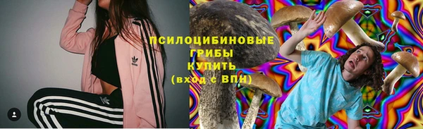 стафф Алексеевка