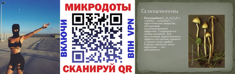 блэк спрут сайт  как найти наркотики  Олонец  Галлюциногенные грибы Psilocybine cubensis 